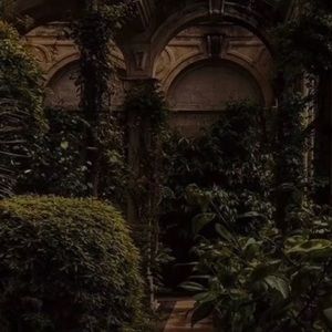 Meet your Posher, Brandi